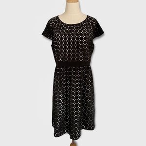 ANN TAYLOR Black Cut Out Dress Size 10P